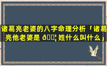 诸葛亮老婆的八字命理分析「诸葛亮他老婆是 🐦 姓什么叫什么」